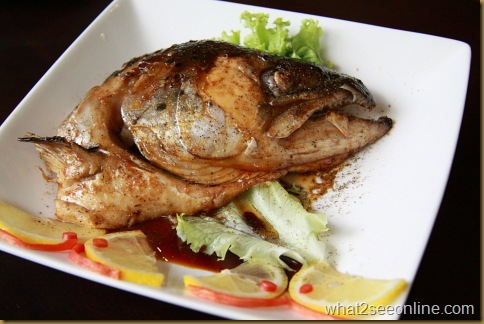 Salmon Fish Head