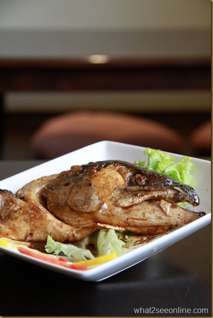 Salmon Fish Head