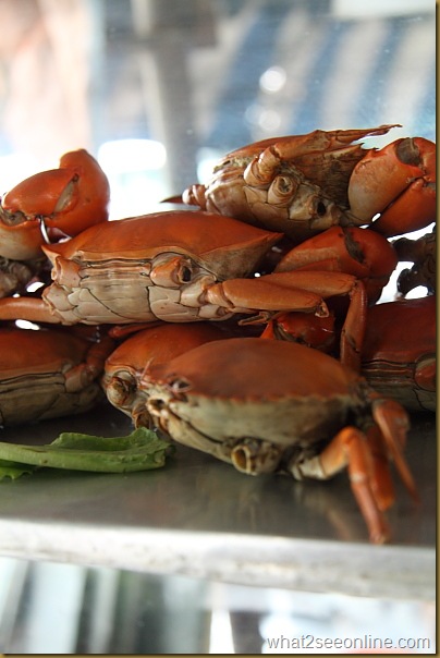 Penang Hawker Food - Poh Piah Crabmeat