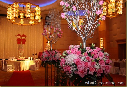 Prince Hotel - Princely Wedding Fair 2010 by what2seeonline.com