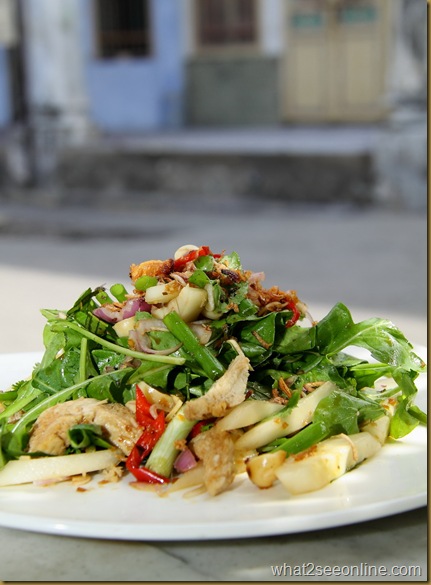 Thai Style Chicken Salad 4