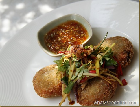 Tuna Cakes with Mango Salad 1_resize