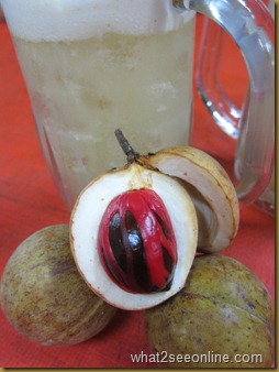 Fresh nutmeg juice_resize