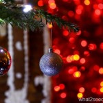 IMG_2555_resize.jpg
