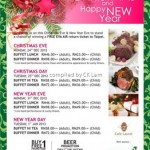 XmasNewYear2012_resize.jpg