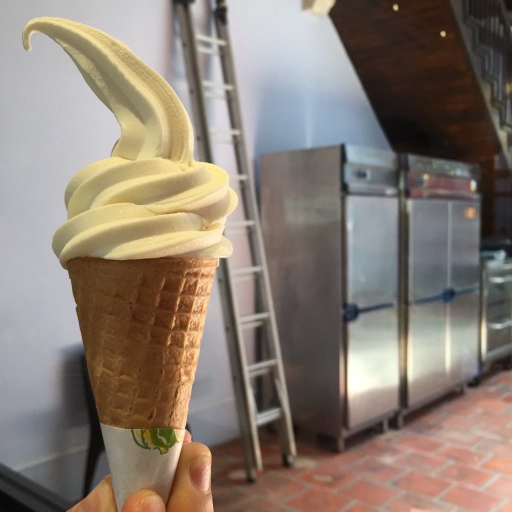 Durian Egg Tart, Durian Puff, DUrian Ice Cream, Durian Daifuku, Durian Haven at Armenian Street in Penang, Durian Dessert, Durian King of Fruits, Penang Food Blog, What2seeonline.com, CK Lam, George Town Penang, Armenian Street, 