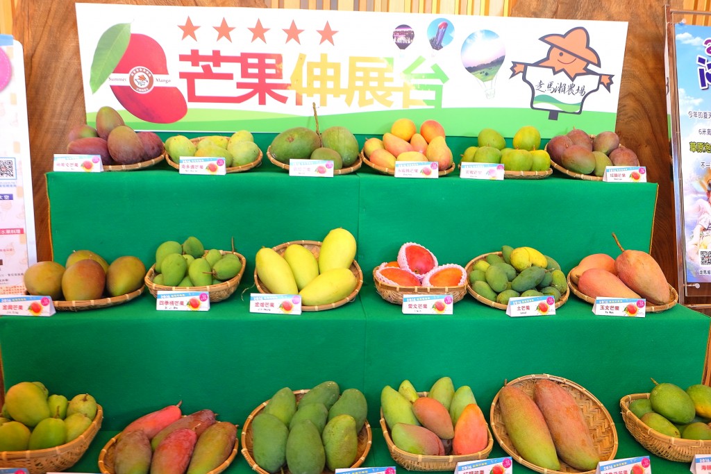 Mango Fiesta, 2016 Tainan International Mango Festival, Tainan, Taiwan, Taiwan Leisure Farm, 