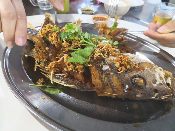 Tsunami Village Cafe, Tanjung Tokong, Penang, CK Lam, What2seeonline.com, Penang Food Blog, Penang Seafood Restaurant, Dining Out in Penang,