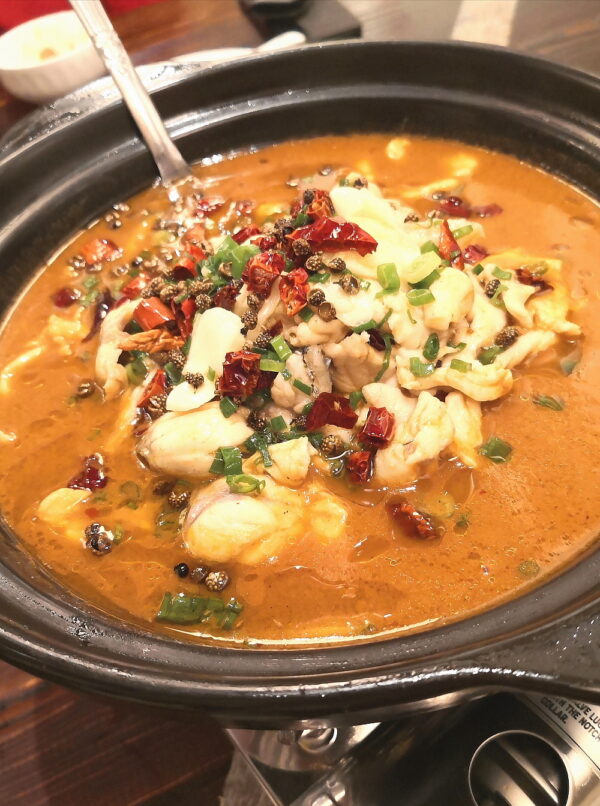 Little Hunan Cuisine, ???, Nagore Road, Nagore Square, Penang, Chinese Food, Little Hunan Spicy Fish Fillet, Little Hunan Hot and Sour Fish Fillet, Griddle Sliced Pork, Potted Cauliflower,